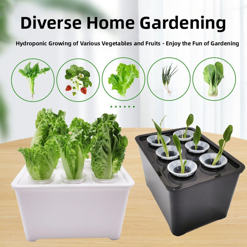 Urban Farming Usa - Kit de seau de culture pour