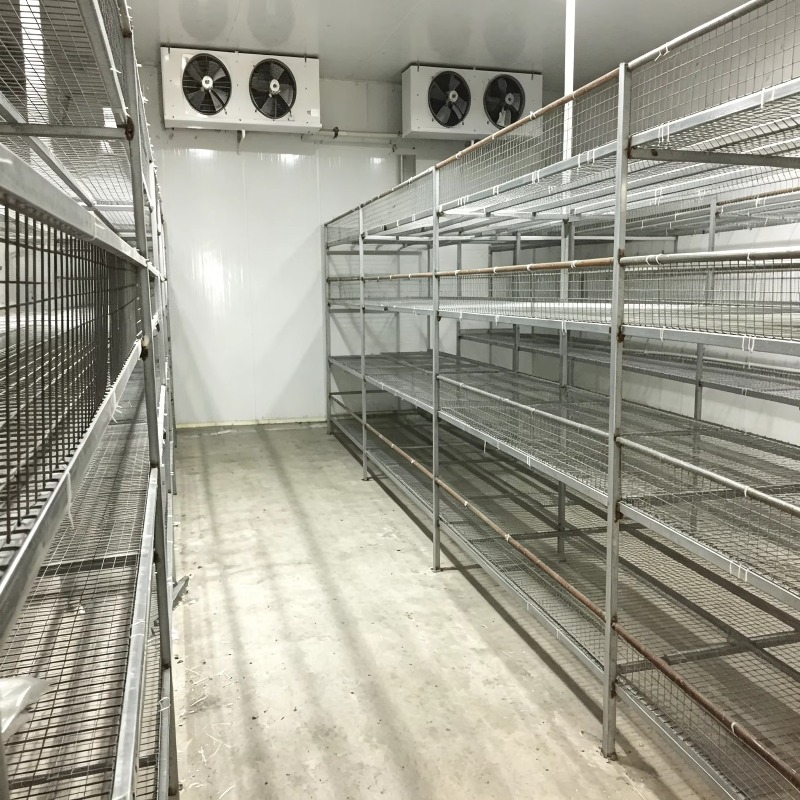 Ferme hydroponique en conteneu - Urban Farming Indoor avis et prix