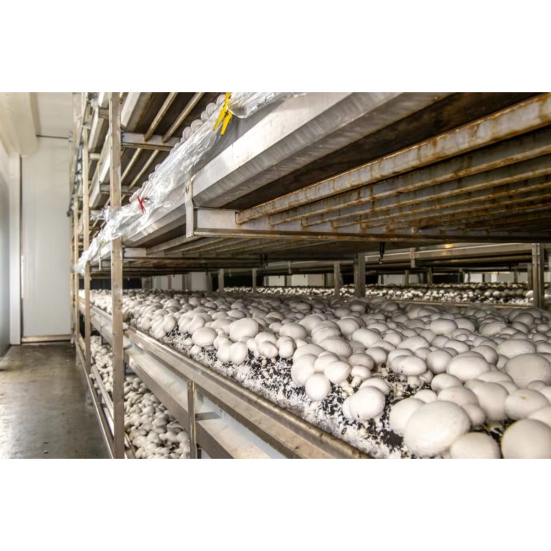 Ferme hydroponique en conteneu - Urban Farming Indoor avis et prix